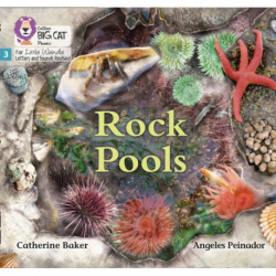 Rock Pools: Phase 3 Set 1