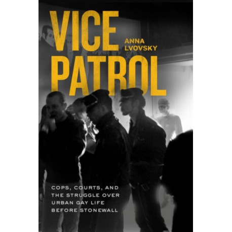 Vice Patrol: Cops, Courts, and the Struggle over Urban Gay Life before Stonewall