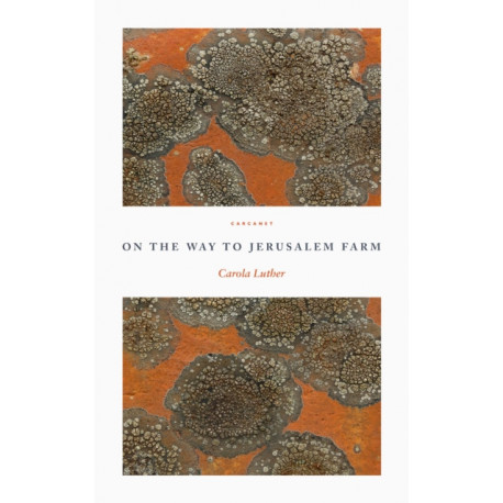 On the Way to Jerusalem Farm