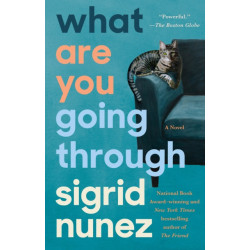 What Are You Going Through: A Novel