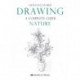 Drawing - A Complete Guide: Nature