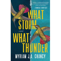 What Storm, What Thunder: A Novel