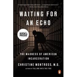 Waiting for an Echo: The Madness of American Incarceration