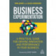 Business Experimentation: A Practical Guide for Driving Innovation and Performance in Your Business