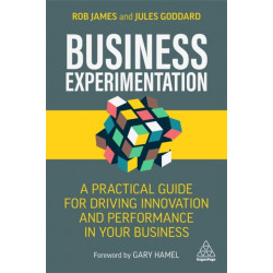 Business Experimentation: A Practical Guide for Driving Innovation and Performance in Your Business