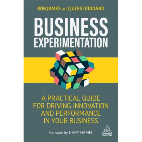 Business Experimentation: A Practical Guide for Driving Innovation and Performance in Your Business