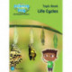 Science Bug: Life cycles Topic Book