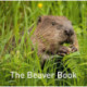 The Nature Book Series: The Beaver Book