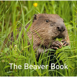 The Nature Book Series: The Beaver Book