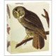 Audubon Owls QuickNotes: QuickNotes