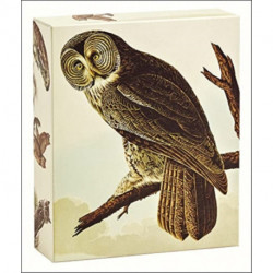 Audubon Owls QuickNotes: QuickNotes