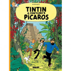 Tintin a Chwyldro'r Picaros