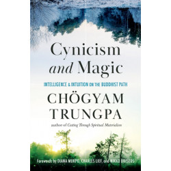 Cynicism and Magic: Intelligence and Intuition on the Buddhist Path