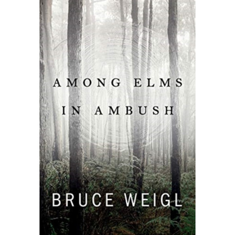 Among Elms, in Ambush