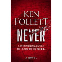 Never: A Novel