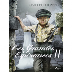 Les Grandes Espérances II