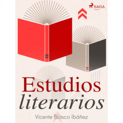 Estudios literarios