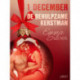 1 december - De behulpzame kerstman – een erotische adventskalender