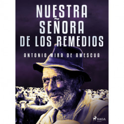 Nuestra señora de los Remedios