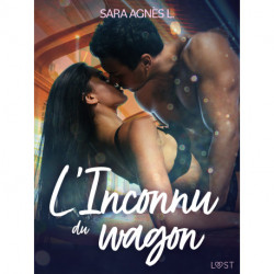 L'Inconnu du wagon – Une nouvelle érotique