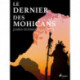 Le dernier des Mohicans (Bas-de-cuir I)