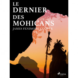Le dernier des Mohicans (Bas-de-cuir I)
