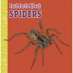 Fast Facts About Spiders