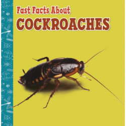 Fast Facts About Cockroaches