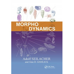 Morphodynamics