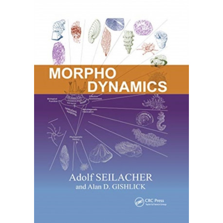 Morphodynamics