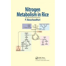 Nitrogen Metabolism in Rice