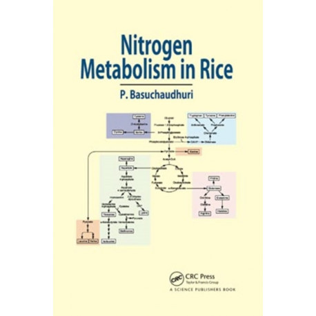 Nitrogen Metabolism in Rice