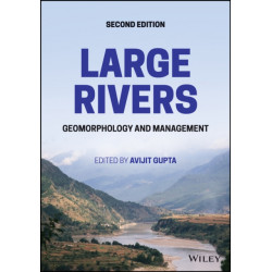 Large Rivers: Geomorphology and Management