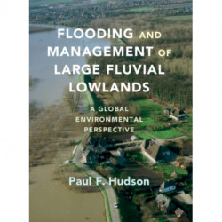 Flooding and Management of Large Fluvial Lowlands: A Global Environmental Perspective