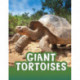 Giant Tortoises