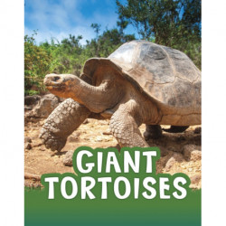 Giant Tortoises