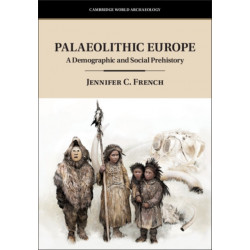 Palaeolithic Europe: A Demographic and Social Prehistory