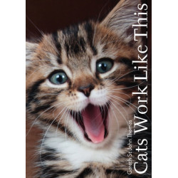 Cats Work Like This