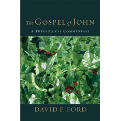 The Gospel of John: A Theological Commentary