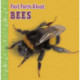 Fast Facts About Bees