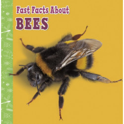 Fast Facts About Bees