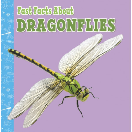 Fast Facts About Dragonflies