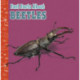 Fast Facts About Beetles