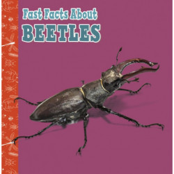 Fast Facts About Beetles