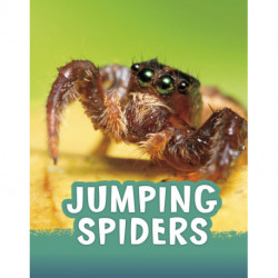 Jumping Spiders