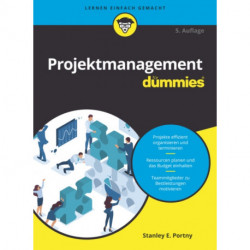 Projektmanagement fur Dummies