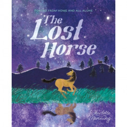 The Lost Horse: Forced from home and all alone