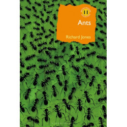 Ants: The ultimate social insects