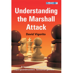 Understanding the Marshall Attack