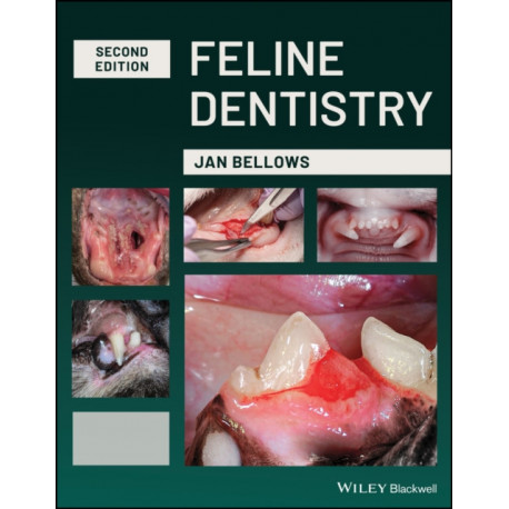 Feline Dentistry: Oral Assessment, Treatment, and Preventative Care